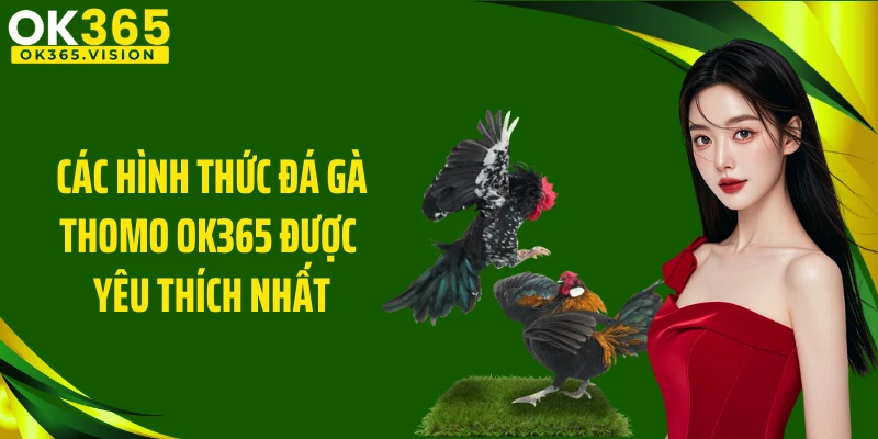 Các hình thức đá gà Thomo OK365 được yêu thích nhất