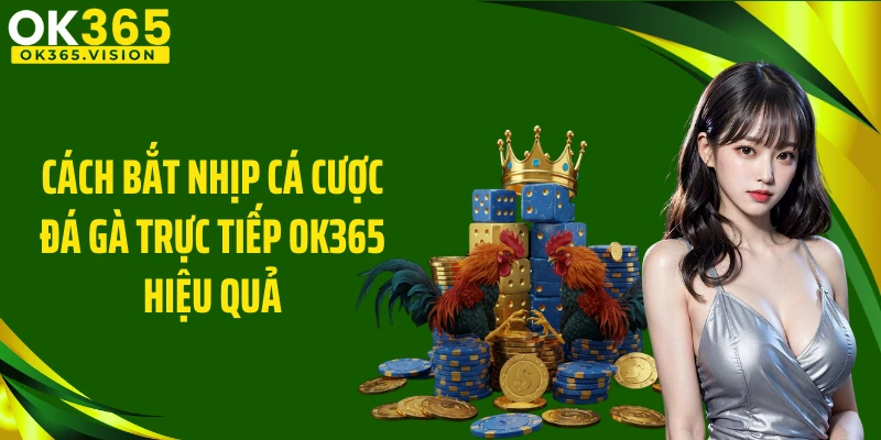 Cách bắt nhịp cá cược đá gà trực tiếp OK365 hiệu quả