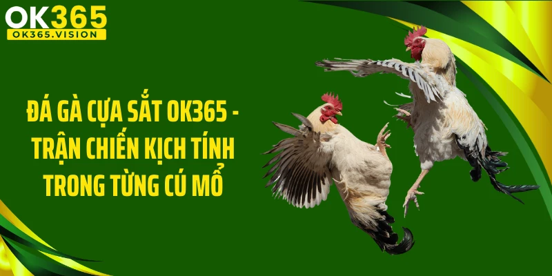 Đá Gà Cựa Sắt OK365 - Trận Chiến Kịch Tính Trong Từng Cú Mổ