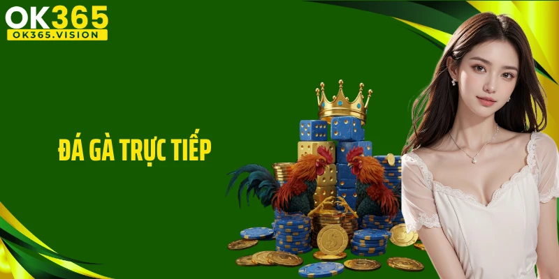 Đá Gà Trực Tiếp Tại OK365 Hấp Dẫn Từng Phút Giây