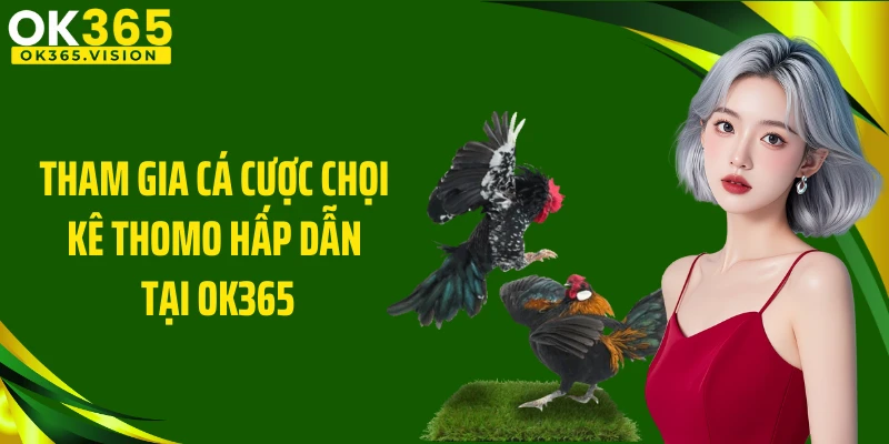 Tham gia cá cược chọi kê Thomo hấp dẫn tại OK365