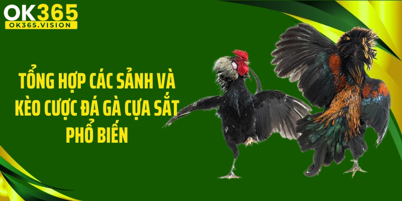 Tổng hợp các sảnh và kèo cược đá gà cựa sắt phổ biến
