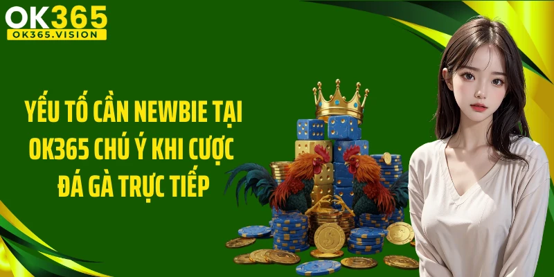 Yếu tố cần newbie tại OK365 chú ý khi cược đá gà trực tiếp